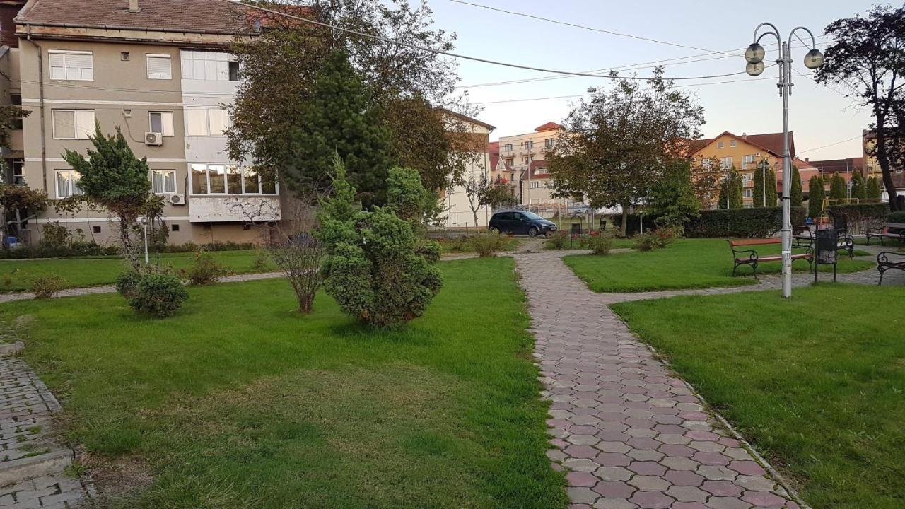 Apartament Ema Băile Felix 外观 照片